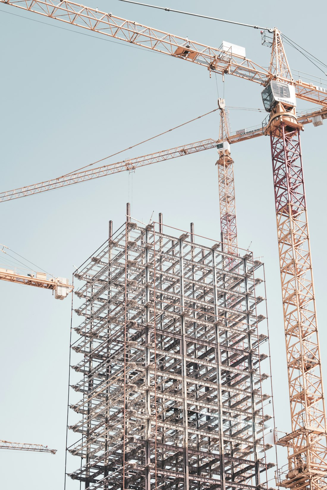 Development site with tower cranes